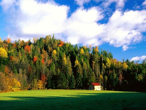 осень осень
